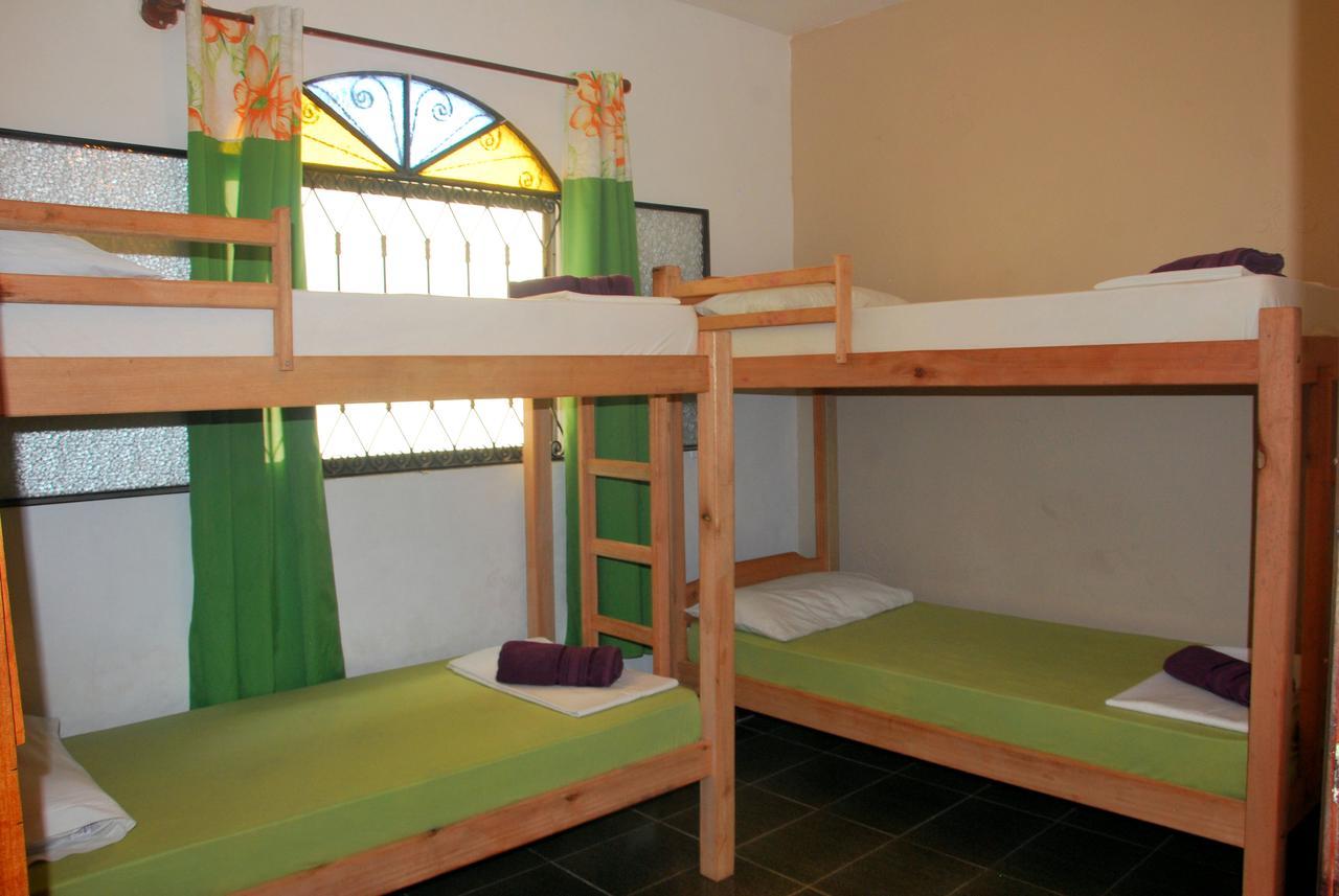 Nautilus Hostel Araquari Dış mekan fotoğraf